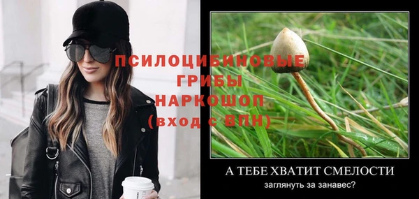 альфа пвп Алагир