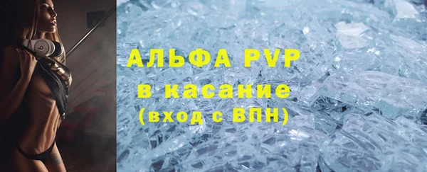 СК Гусев