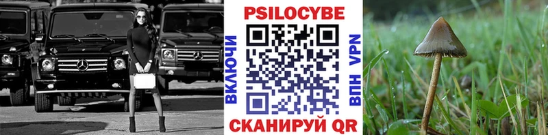 Псилоцибиновые грибы GOLDEN TEACHER  цена   Алдан 